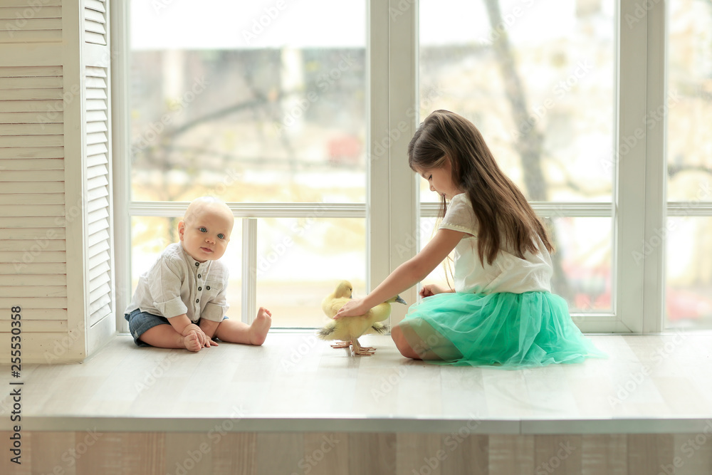 girl in a white shirt and blue skirt with a baby brother in a white shirt and jeans sitting at the window and stroked the little ducklings girl in a white shirt and blue skirt with a baby brother in a white shirt and jeans sitting at the window and stroked the little ducklings