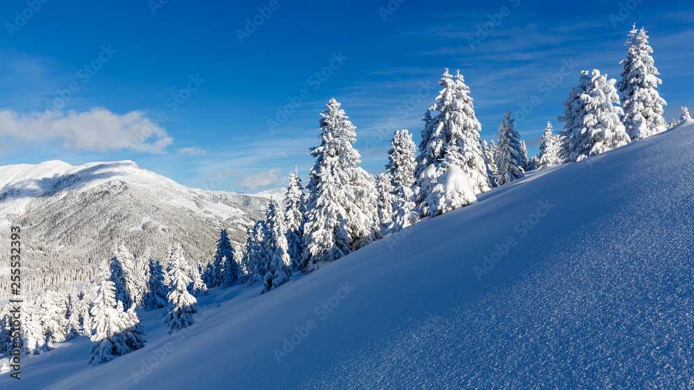 Tiefverschneiter Bergwald Tiefverschneiter Bergwald