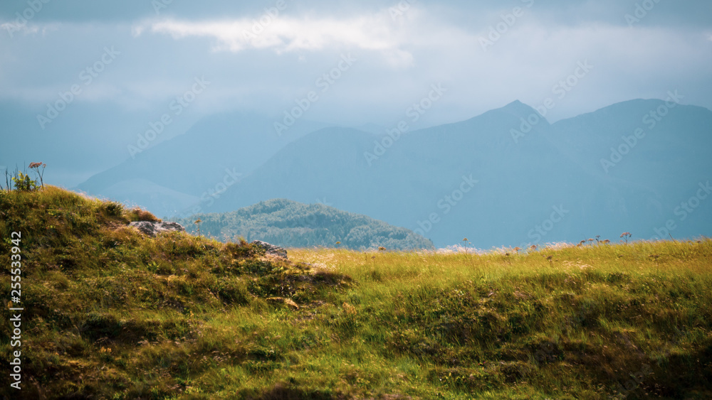 Grassy mountains vista