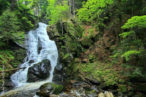 Waterfall in the forest photo