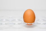 Close up of chicken eggs over white background