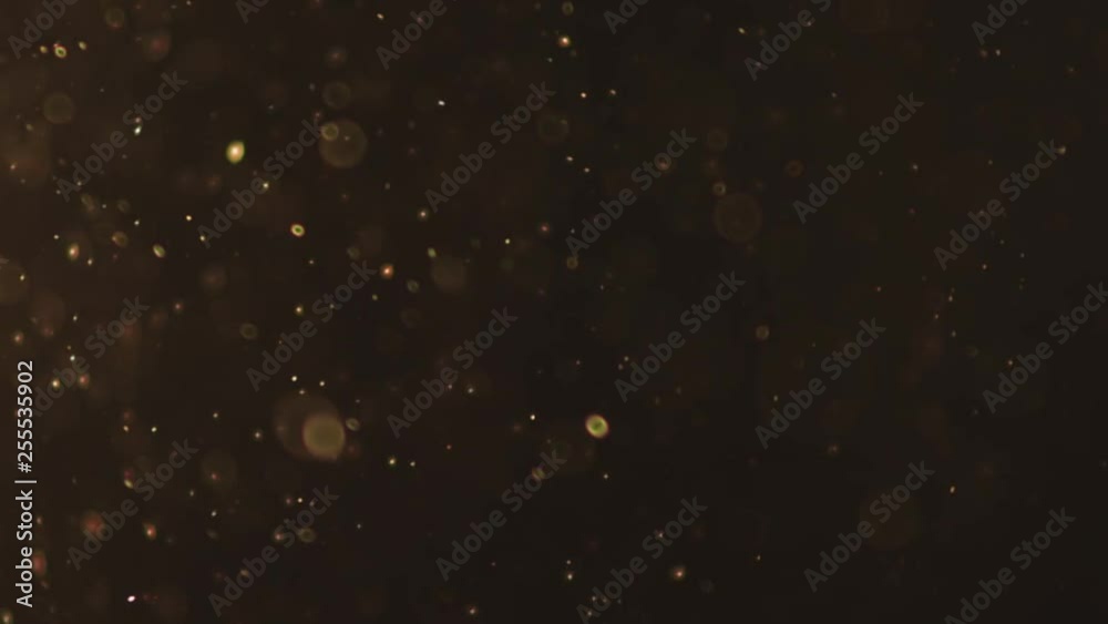 Colorful Shining Circular Particle 