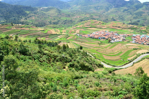 Poombarai Village and terraced farming in Kodaikanal