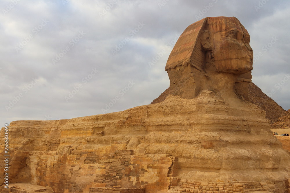 Close-up of Great Sphinx of Giza in Cairo, Egypt