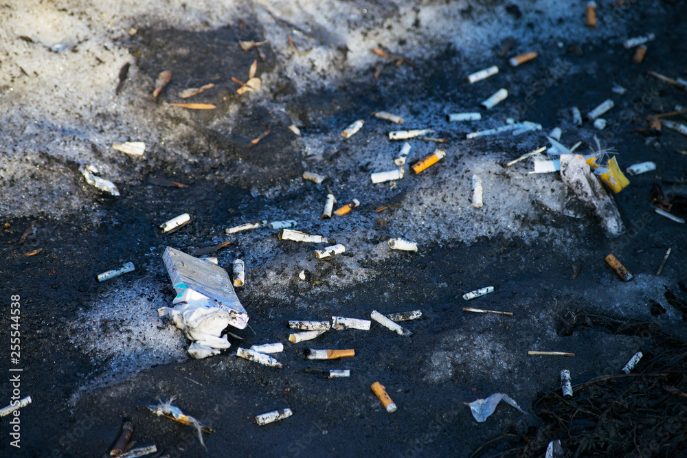 cigarette butts on dirty snow