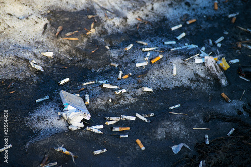 cigarette butts on dirty snow