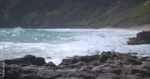 Waves Crashing in Behind Volcanic Rock in Hawaii in Slow Motion