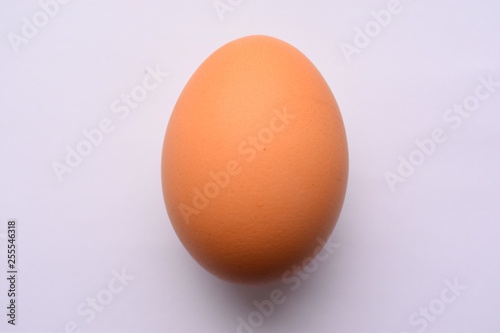 egg on white background