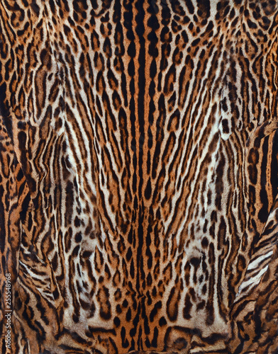 leopard fur background textures