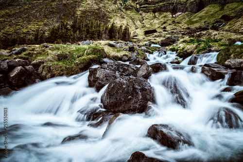 Wasserfall in Island mit Wald im Hintergrund © patapong