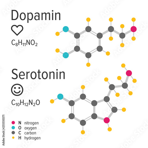 Dopamin and serotonin hormones vector chemical formulas. Love and happiness emotions. Chemical molecular model.