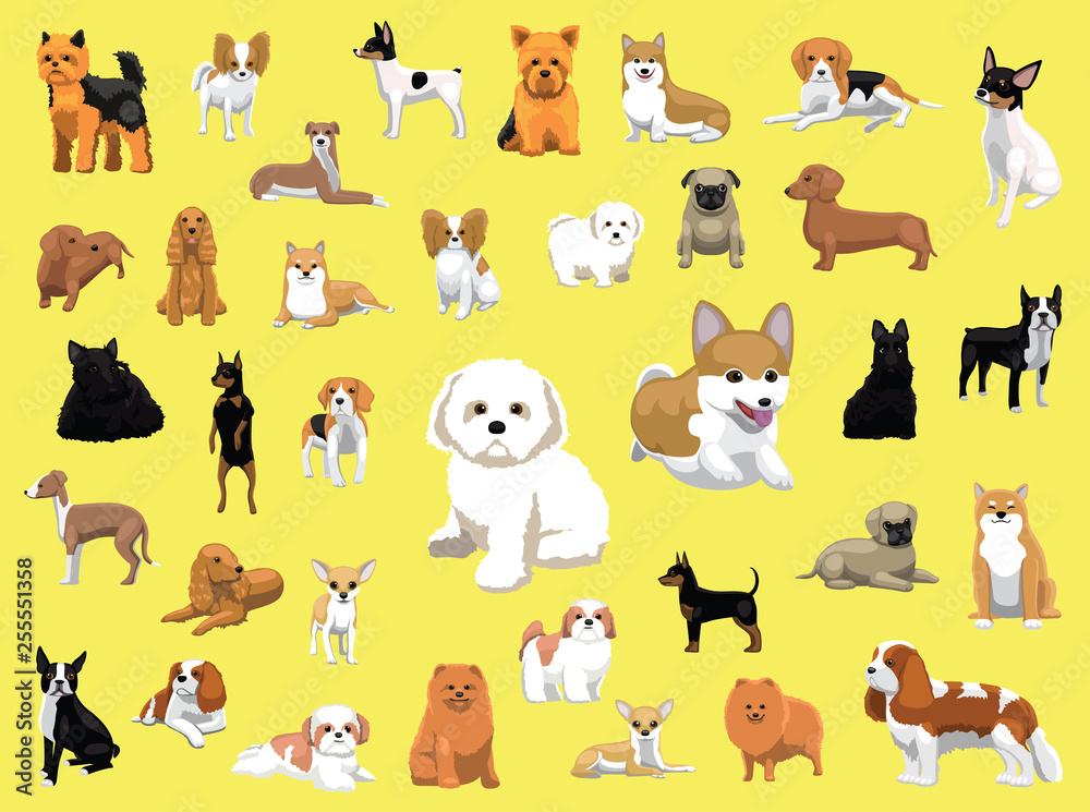 Various Small Dog Breeds Poses Various Small Dog Breeds Poses