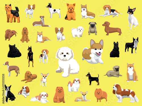 Various Small Dog Breeds Poses