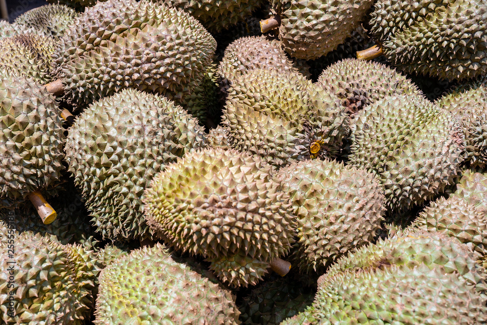 Tropic fruit durian on stree market. Exotic fruit durian for sell. Thailand . Fruit dessert Tropic fruit durian on stree market. Exotic fruit durian for sell. Thailand . Fruit dessert