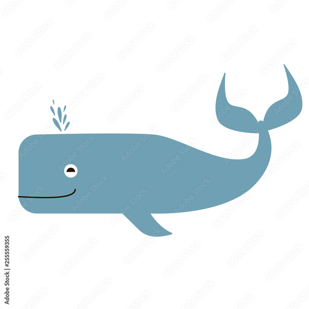 sea whale flat color art illustration sea whale flat color art illustration