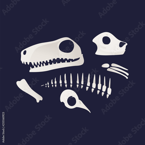 White skeleton and bones of a dinosaures in flat cartoon style.