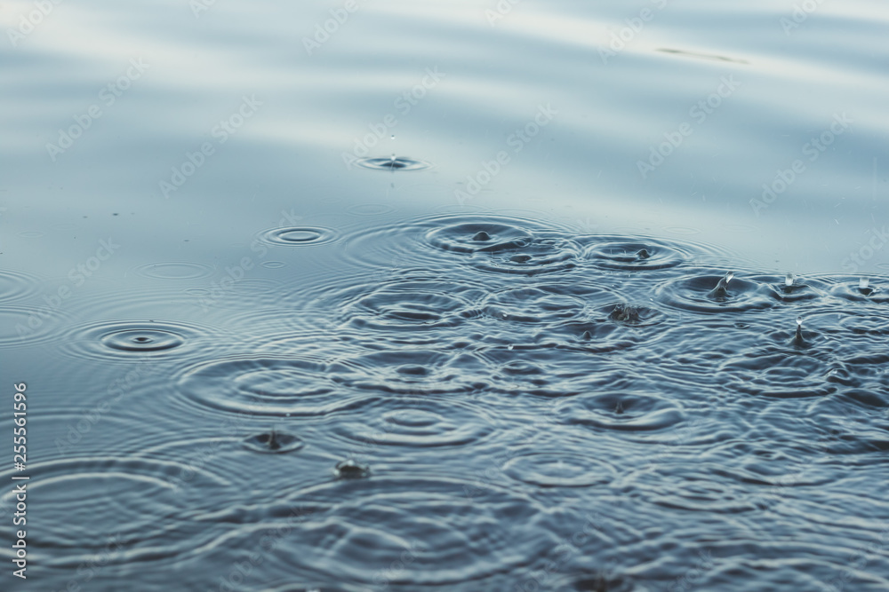 The surface of the water is perturbed by the drops of rain. Splashes on the water. Abstract background. The surface of the water is perturbed by the drops of rain. Splashes on the water. Abstract background.