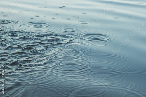 The surface of the water is perturbed by the drops of rain. Splashes on the water. Abstract background.
