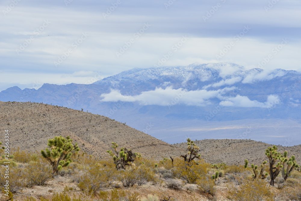 Different Landscapes in the Mohave Desert, Nevada.