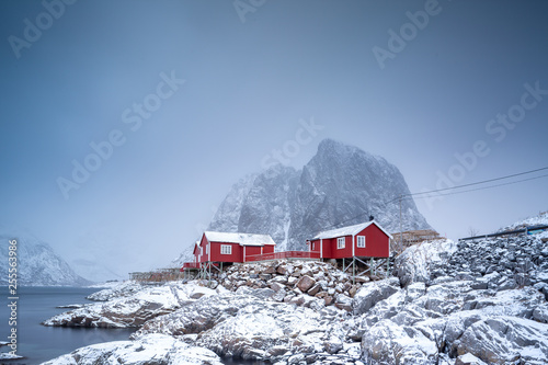 Beautiful traditional fishing red rorbuer huts in Hamnoy village, Lofoten Islands, Norway, Scandinavia photo