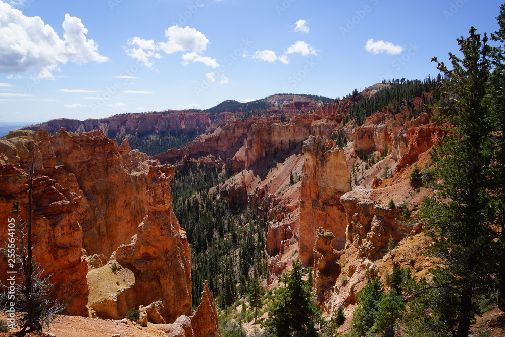 on top of bryce canyon