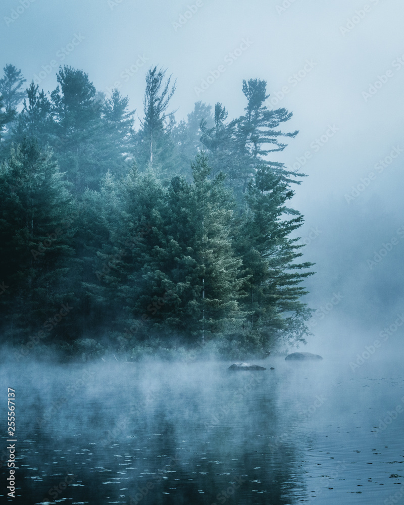 Adirondack Foggy Morning