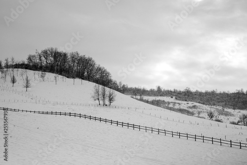 winter landscape
