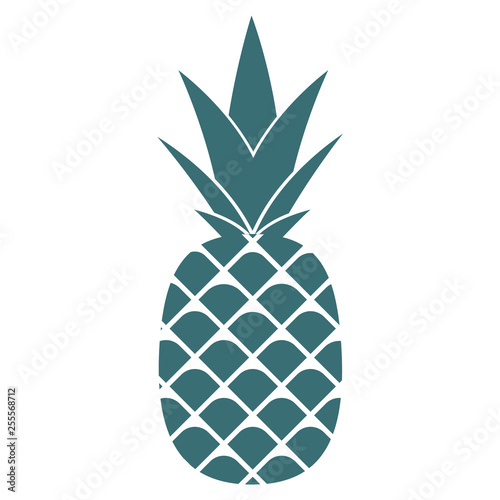 Pineapple. Flat Icon or Logo. Vector Illustration.