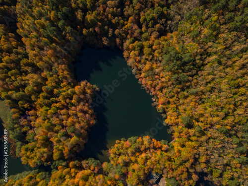 Aerial view of a Lake on  Autumn at Yedigoller National park