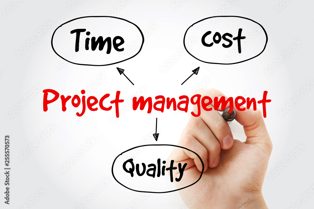 Project management mind map flowchart with marker, business concept for ...