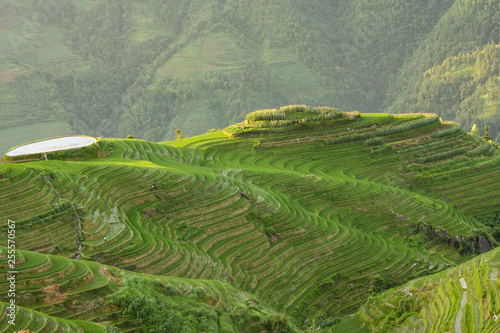 Longsheng rice terraces landscape in China