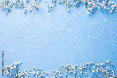Border  from fresh white gypsofila  flowers on blue textured background. photo