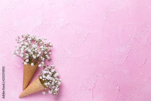 Tender fresh white gypsofila  flowers in waffle cones on  pink textured background. photo