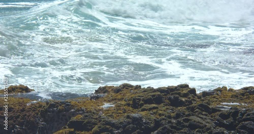 Waves Rolling in on the East Shore of Oahu