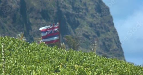 Hawaiian Flag Blowing in the Wind in Front of Palm Trees in Slow Motion