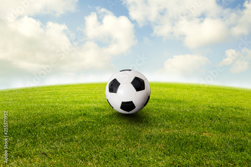 Fußball liegt auf dem Rasen © OFC Pictures