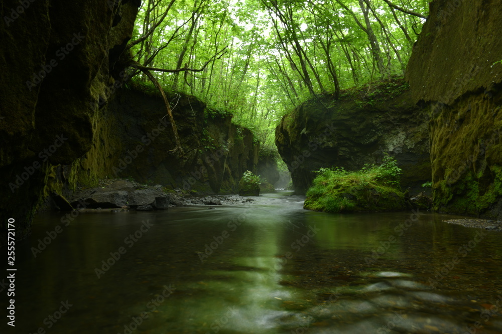 Fototapeta premium 北海道の樽前ガロー