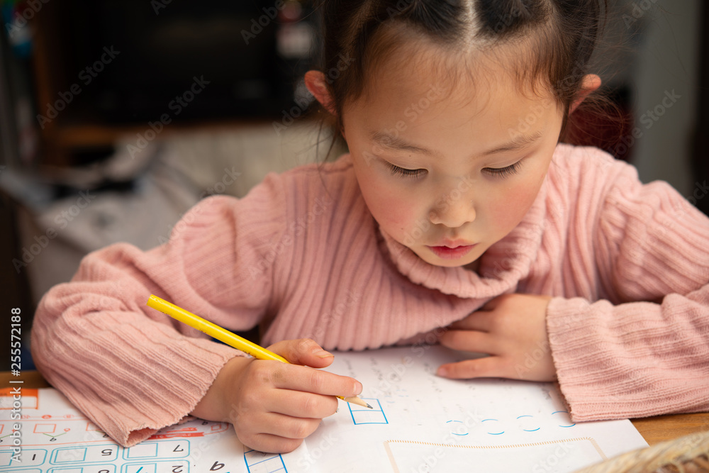勉強をする女の子 勉強をする女の子