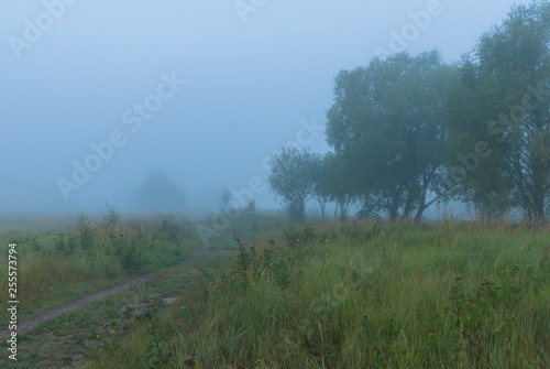 A way in fairy fog early in the morning