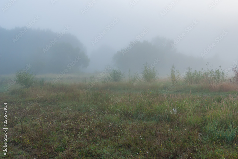 A way in fairy fog early in the morning A way in fairy fog early in the morning