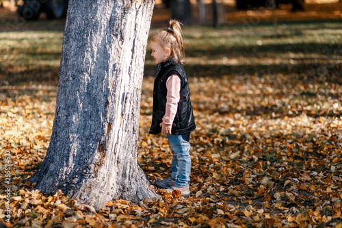 A cute little girl having fun in autumn hiding behind a tree © Gorodetskaya