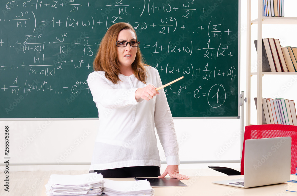 Female math teacher in the classroom Female math teacher in the classroom