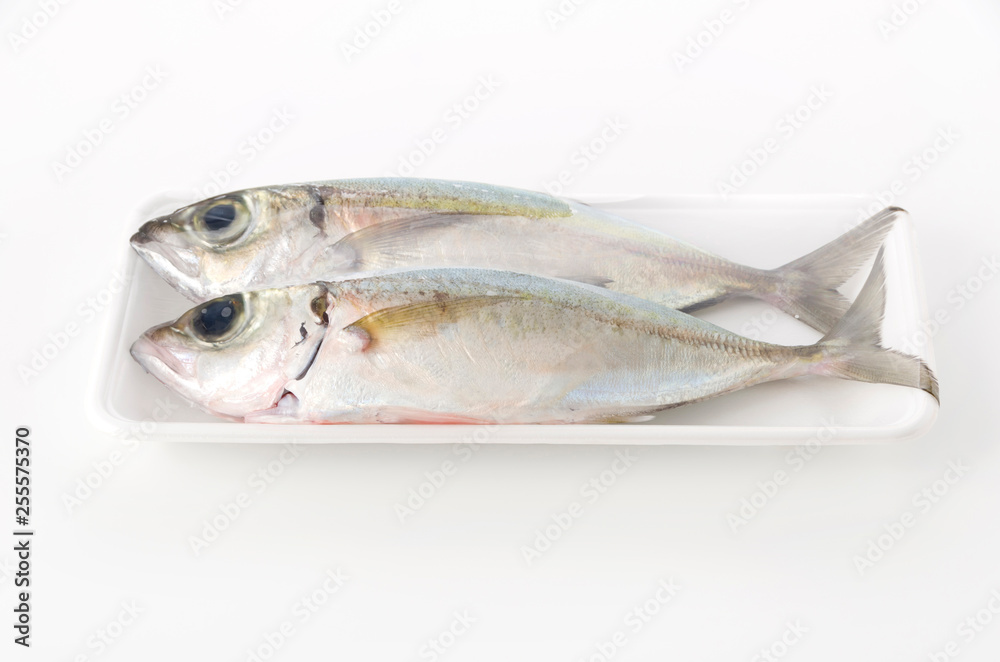 メアジ、トッパク、ガチュン （パック入り）