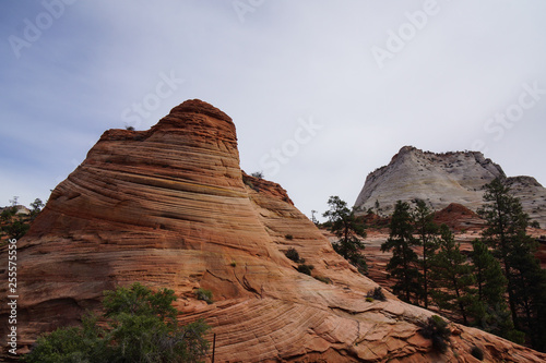 hill looking like hat in zion national park