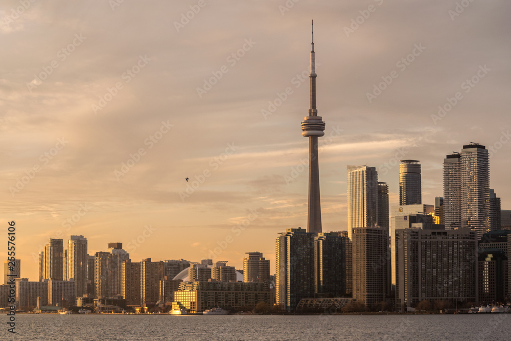 Obraz premium Toronto 76