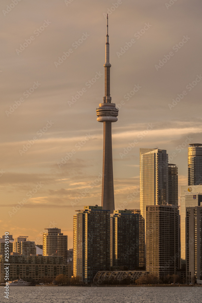 Toronto 79 Toronto 79