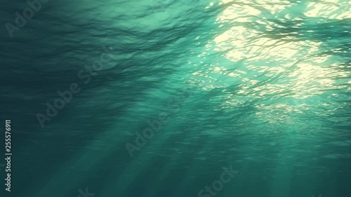 Wallpaper Mural Underwater light creates a beautiful veil, consisting of sunlight. Underwater ocean waves oscillate and flow with the rays of light Torontodigital.ca