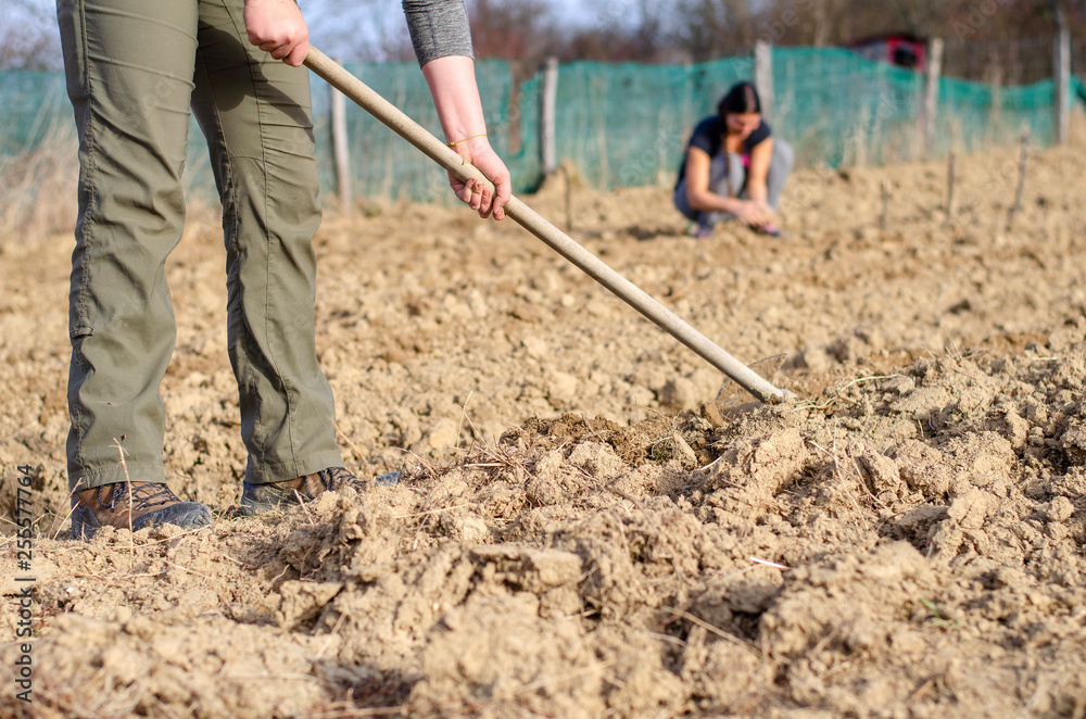 Seasonal work on a field in spring. Organic farming Seasonal work on a field in spring. Organic farming