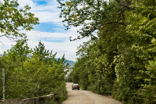 Riding through the green forest.