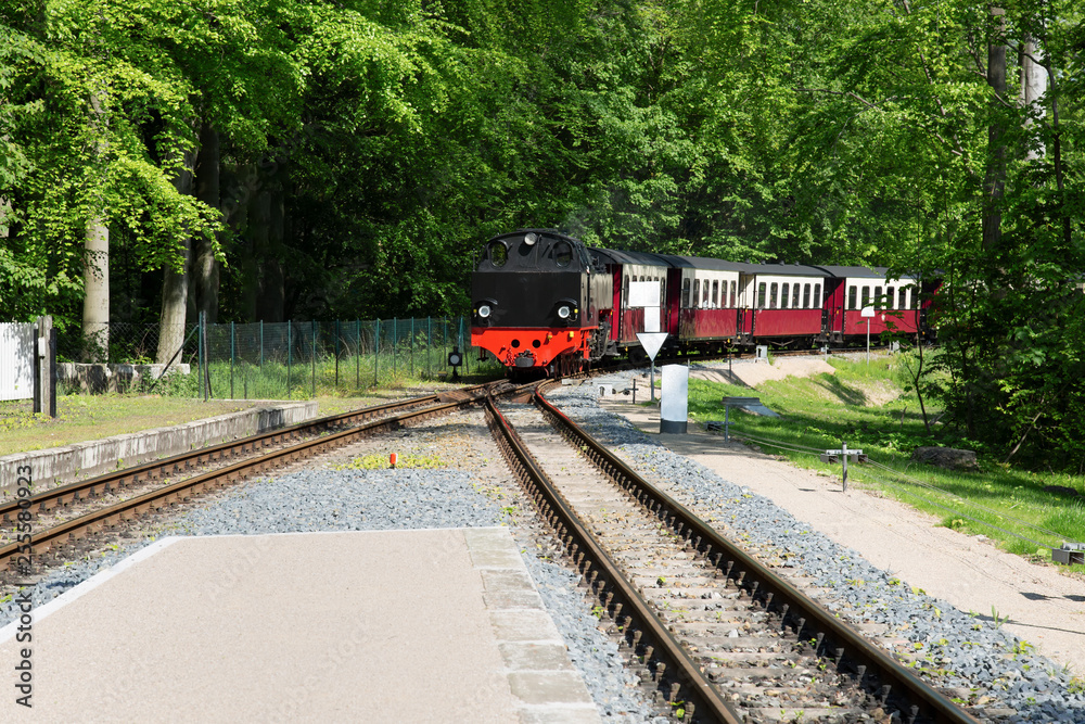 Naklejka premium Dampflok mit Personen-Waggons